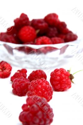 Raspberry isolated in White Background Raspberry isolated in White Background