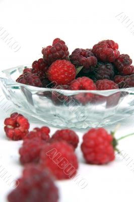 Raspberry isolated in White Background Raspberry isolated in White Background