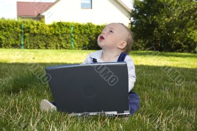 Baby study on computer