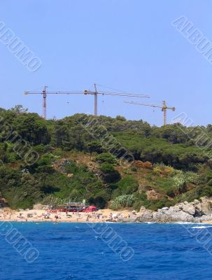 Three cranes over a scenic beach