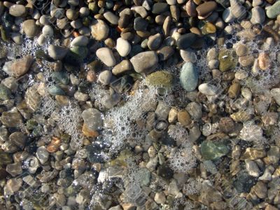 wet pebbles on the beach of the Black Sea1 wet pebbles on the beach of the Black Sea1
