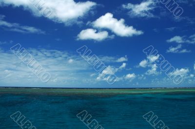 tropical water tropical water