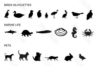 Many animals silhouettes,shapes,image, nature Many animals silhouettes,shapes,image, nature