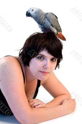 grey parrot on womans head