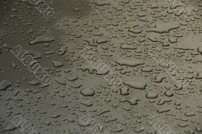 Rain Drops Rain Drops