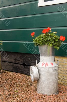 Flowers in a milcan