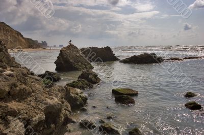 Shallow gulf Shallow gulf