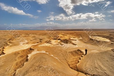 The lonely traveller The lonely traveller
