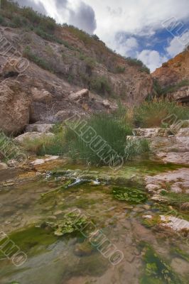 Small stream Small stream