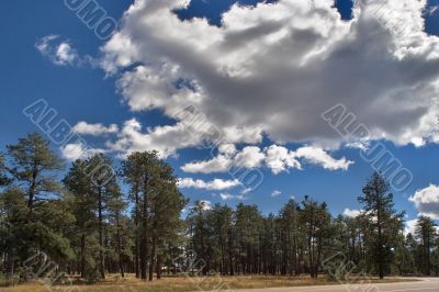 Sparkling cloud. Sparkling cloud.