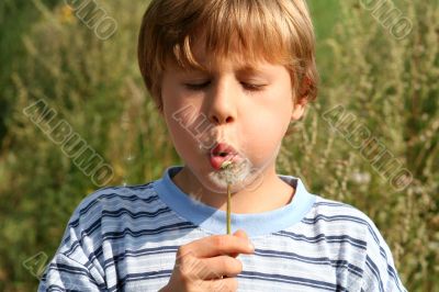 Summerfeelings Summerfeelings