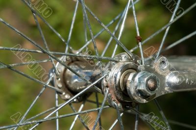 Bicycle wheel close up. Metal spokes.