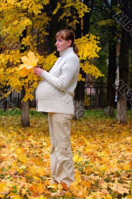 Pregnant woman in autumn park hold maple leaf #3 Pregnant woman in autumn park hold maple leaf #3