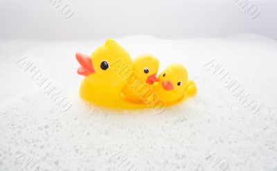 Three rubber ducks in foam water #4 Three rubber ducks in foam water #4