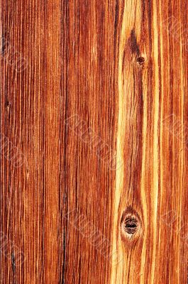 Wood Wood
