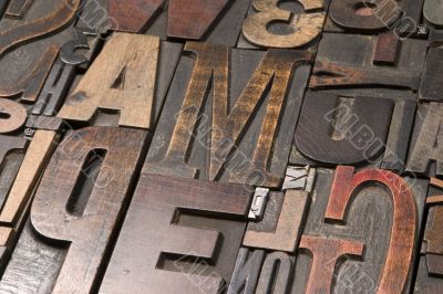 Wood type 4