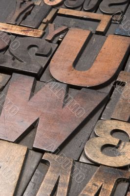 Wood type 3