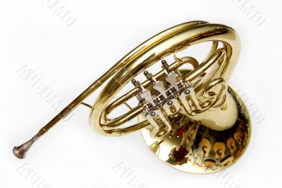 French Horn fragment.