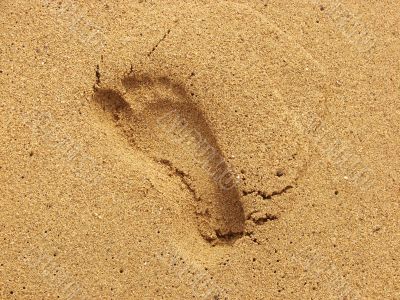Trace on marine sand