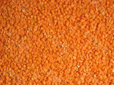 Red lentils