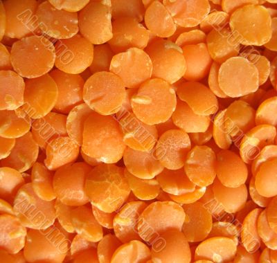 Red lentils