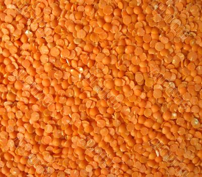 Red lentils