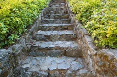steps in eastern garden