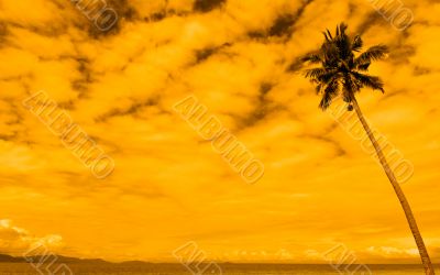tropical sunset