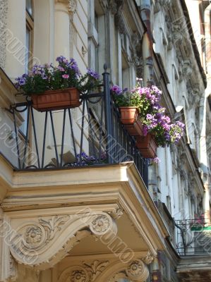 Flowers on the balcony