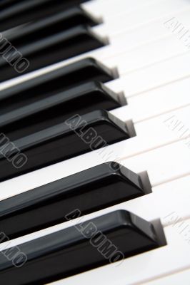 piano keys piano keys