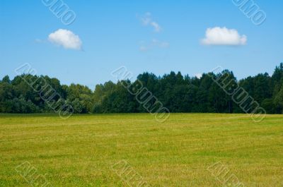 background of green field and blue cloudy sky background of green field and blue cloudy sky