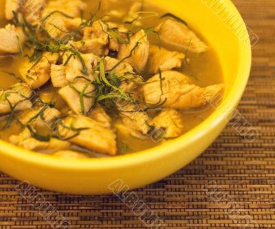 thai chicken curry - shallow focus
