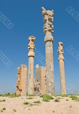 Columns of ancient city of Persepolis Columns of ancient city of Persepolis
