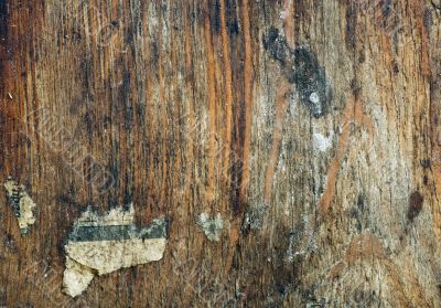 grunge background grunge background