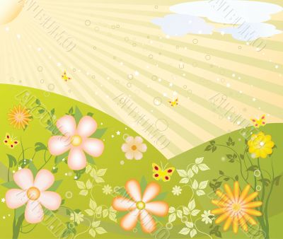 Abstract  floral background  vector illustration