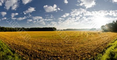 Hoge Veluwe