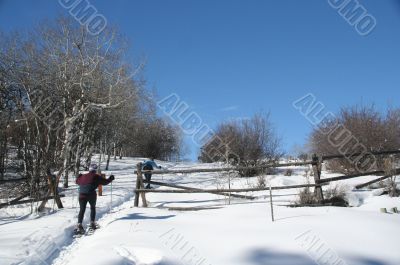 Snowshoe hiker with wooden rail fence