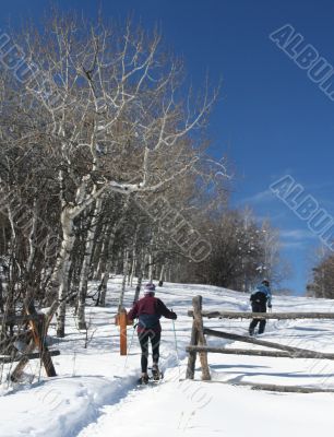 Snowshoe hiker with wooden rail fence
