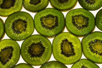 Kiwi Pattern