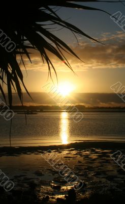 Beach Sunrise