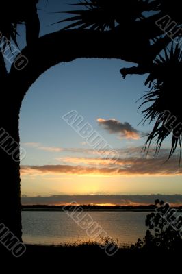 Bent Tree Sunrise