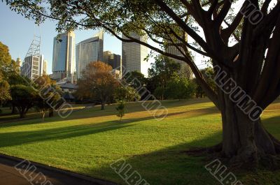 Royal Botanic Gardens