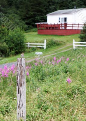 Rural scenic