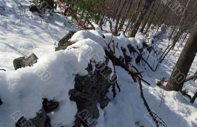 Stone Wall in Winter
