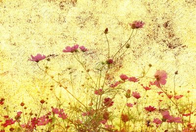 old-fashioned flower