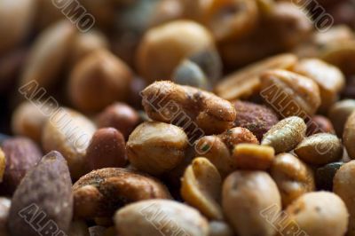 nut mixture