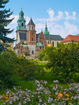 Cathedral Cathedral