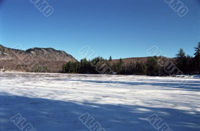 Winter Landscape