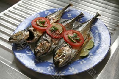 Grilled fish