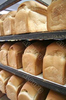 Bakery bread